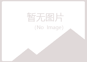 江北区夏日邮政有限公司